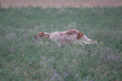 IMG_0495