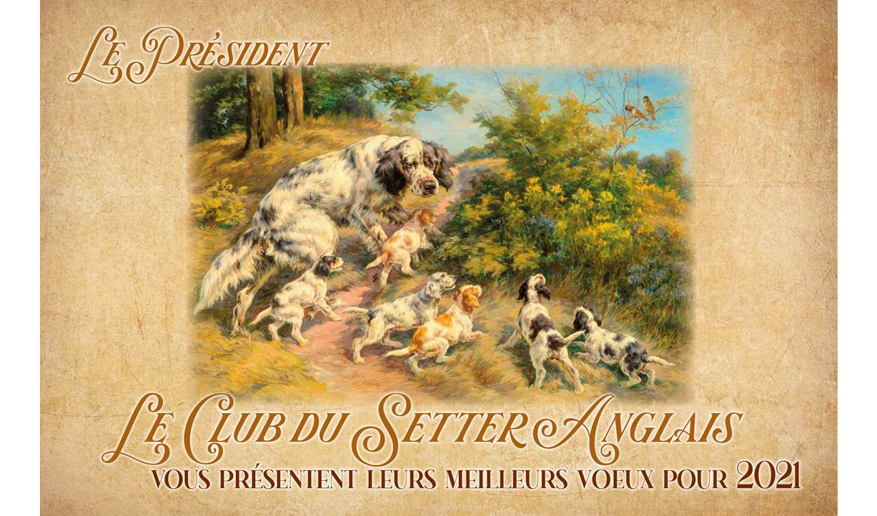 Meilleurs Voeux En Anglais / Carte de voeux à personnaliser. - Dream-to