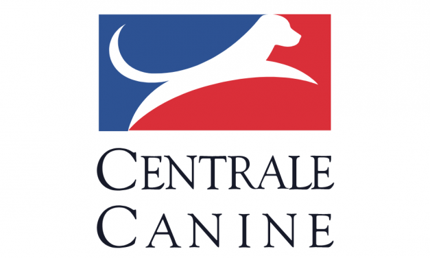 La Centrale Canine (SCC) – présentation vidéo 2022