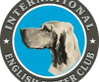 Club International du Setter Anglais