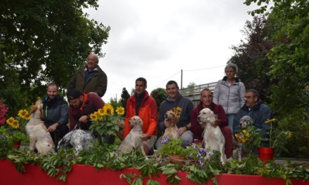 RDV -COUPE DE FRANCE DES NOVICES 2021