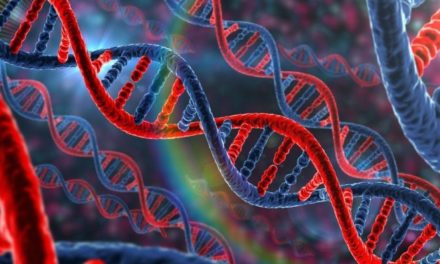 Kits ADN disponibles à la Nationale d’Elevage