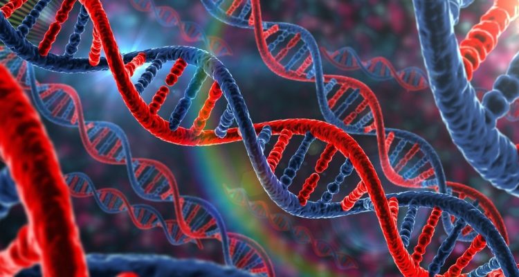 Kits ADN disponibles à la Nationale d’Elevage