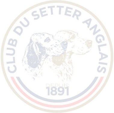 info club