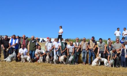 Les vainqueurs de la Coupe de France des Novices et de la Coupe de France sur Caille