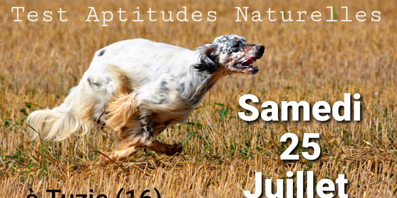 TAN CHARENTE tuzie (16) samedi 25 juillet 2020