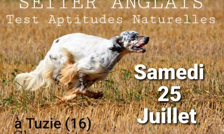 TAN CHARENTE tuzie (16) samedi 25 juillet 2020