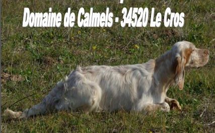 TAN DIMANCHE 6 SEPTEMBRE 2020 DOMAINE DE CALMELS (34)