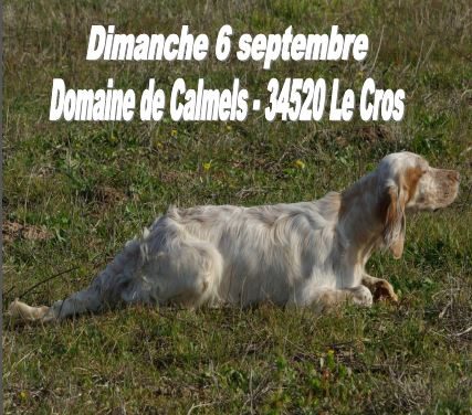 TAN DIMANCHE 6 SEPTEMBRE 2020 DOMAINE DE CALMELS (34)