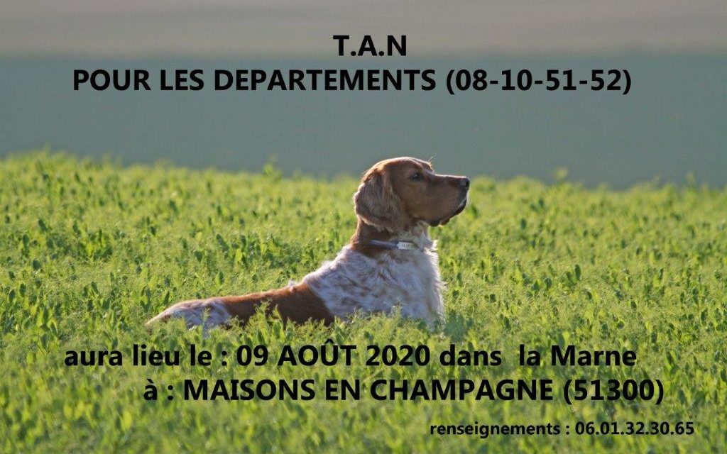 TAN POUR LES DÉPARTEMENTS  (08-10-51-52) MAISON EN CHAMPAGNE