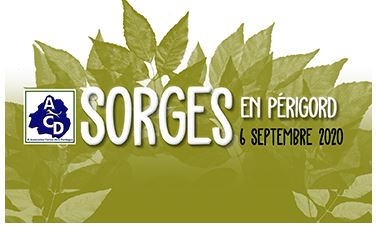 SPÉCIALE DE RACE SORGEs EN PÉRIGORD dIMANCHE 6 SEPTEMBRE