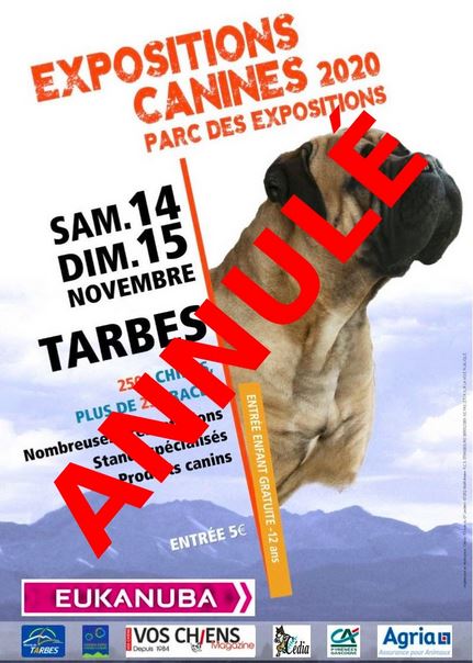 EXPOSITION DE TARBES AVEC LA SPÉCIALE DE RACE SETTER-ANGLAIS EST ANNULÉE