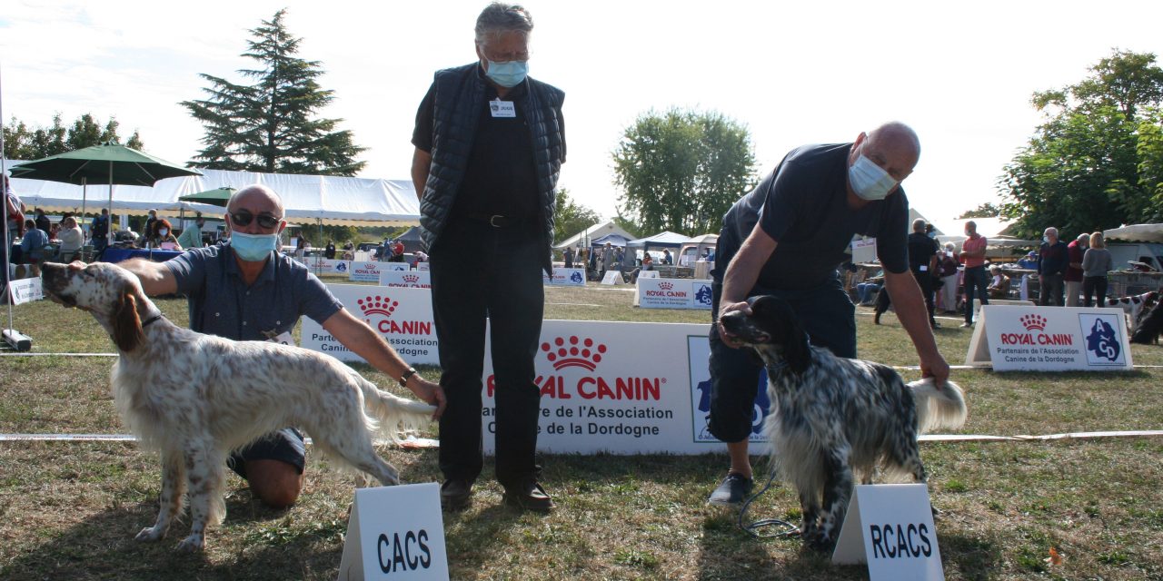 Exposition SORGES EN PÉRIGORD dimanche 6 septembre 2021