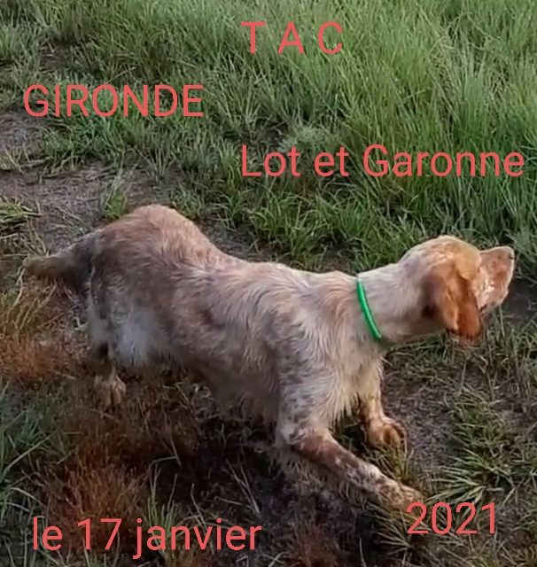 INFO : TAC GIRONDE DIMANCHE 17 JANVIER 2021(sous réserve d’autorisations)