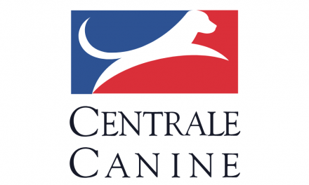 SOCIÉTÉ CENTRALE CANINE                                                                                                  Une organisation adaptée aux nouvelles restrictions