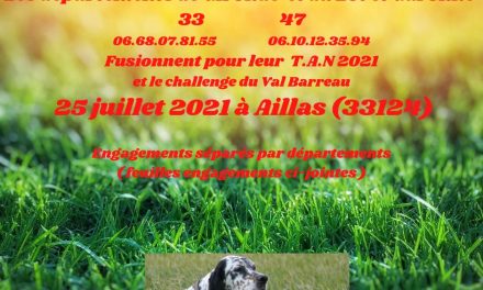 tan 33 & 47 Dimanche 25 Juillet 2021