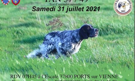 TAN (37-49) PORTS Dimanche 31 juillet 2021