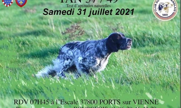 TAN (37-49) PORTS Dimanche 31 juillet 2021