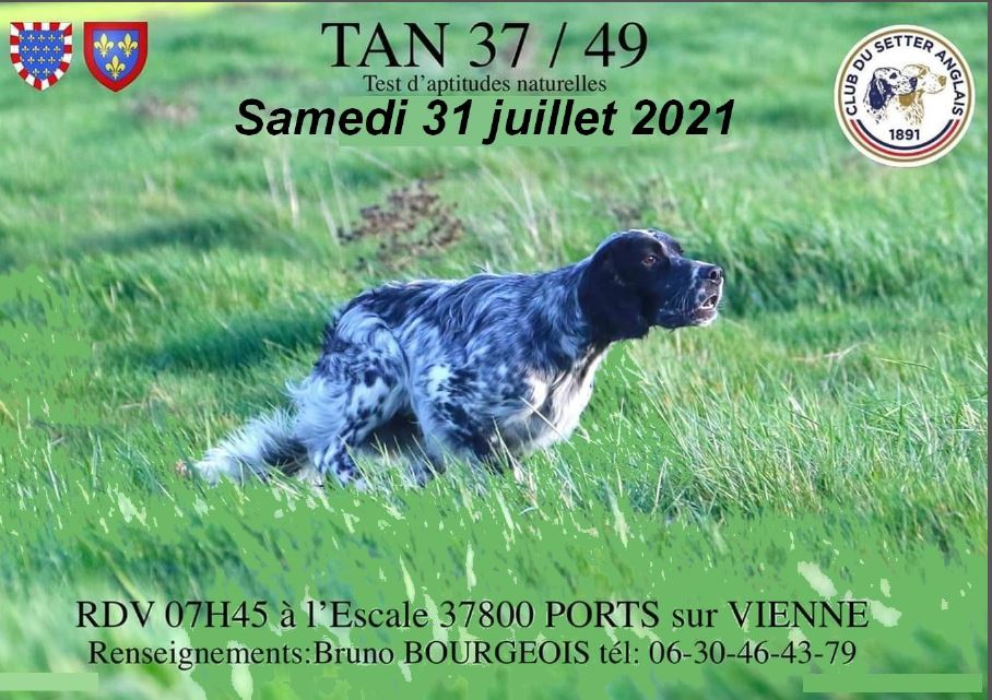 TAN (37-49) PORTS Dimanche 31 juillet 2021