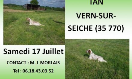 TAN VERN-SUR-SEICHE SAMEDI 17 JUILLET 2021