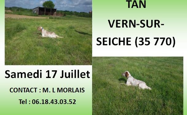 TAN VERN-SUR-SEICHE SAMEDI 17 JUILLET 2021
