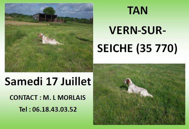 TAN VERN-SUR-SEICHE SAMEDI 17 JUILLET 2021