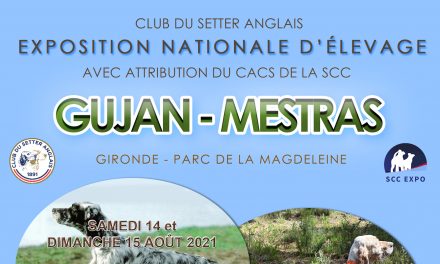 NATIONALE D’ÉLEVAGE DU CLUB DU SETTER ANGLAIS GUJAN-MESTRAS (33) – 14 & 15/08/2021