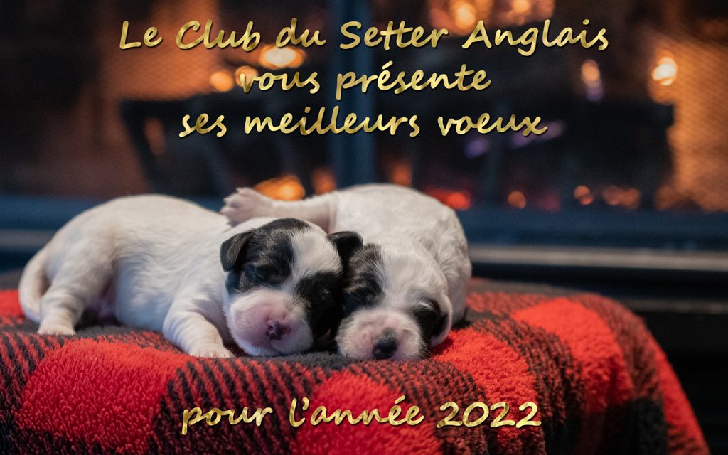 Voeux 2022