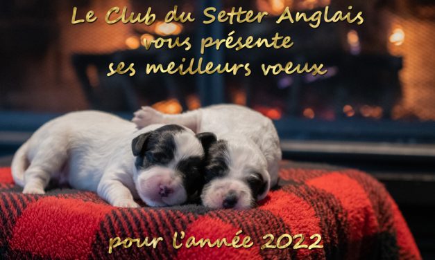 Voeux 2022