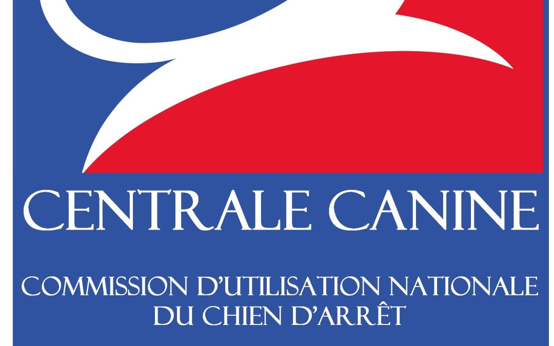 Open de France 2025 : règlement