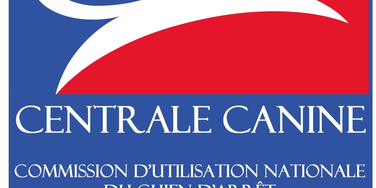 Concours : nouveautés dans le règlement 2022 de la Cunca