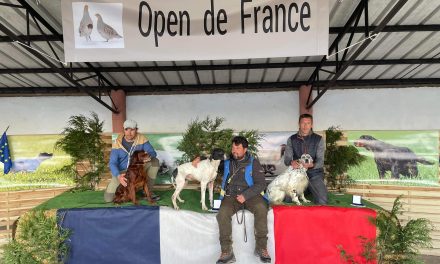 Open de France Grande Quête