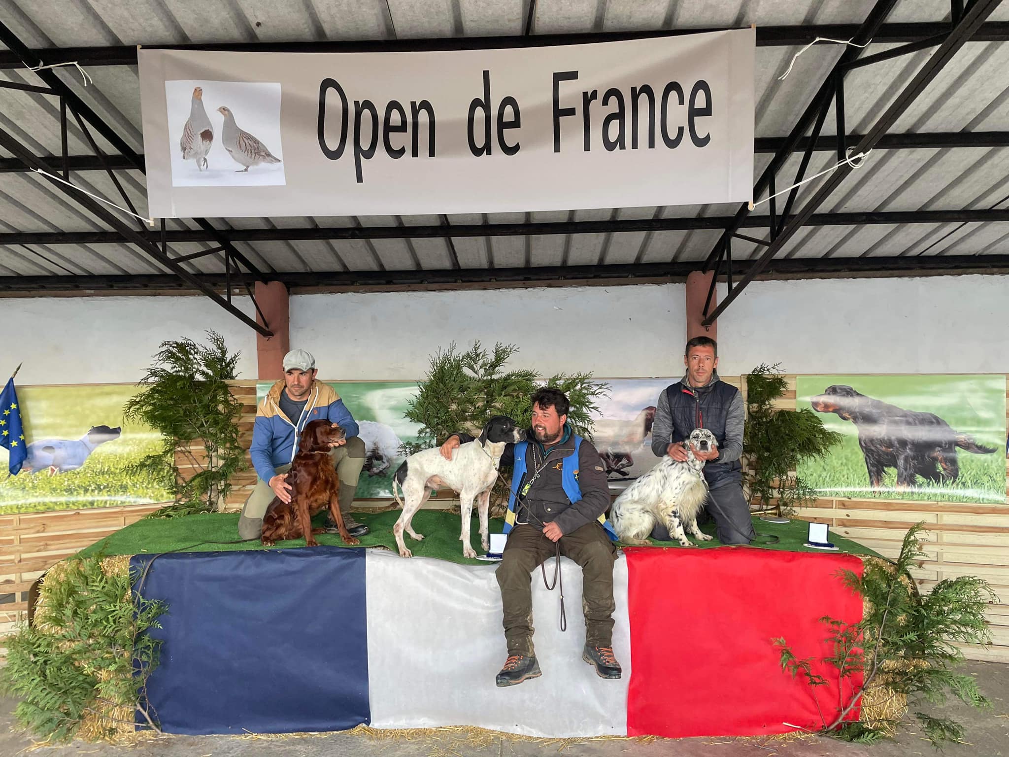 Open de France Grande Quête - Club du Setter Anglais