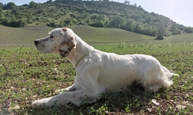 TAN AVEYRON St Jean d&rsquo;Alcas Samedi 23 Juillet 2022