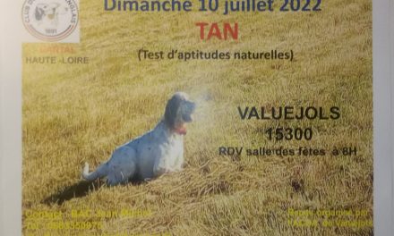 TAN VALUEJOLS (15) Dimanche 10 Juillet 2022