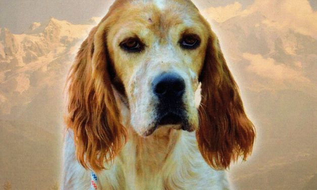 Régionale d&rsquo;Elevage  Chatillon la Palud (01) dimanche 21 août 2022