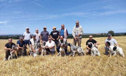 Résultats TAN de Poullaouen du 14 juillet 2022