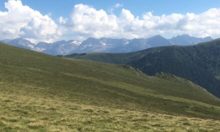 FIELD TRIAL MONTAGNE -LES PYRENEES