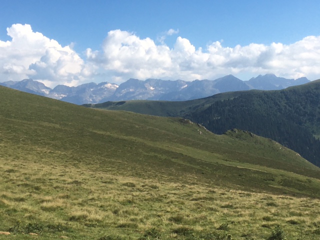 FIELD TRIAL MONTAGNE -LES PYRENEES