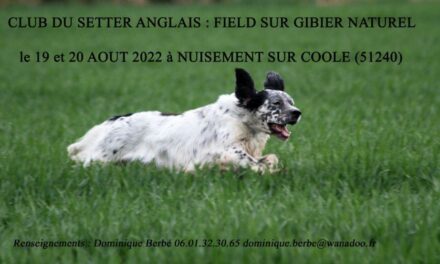 NUISEMENT SUR COOLE (51240) 19 & 20 AOÛT 2022