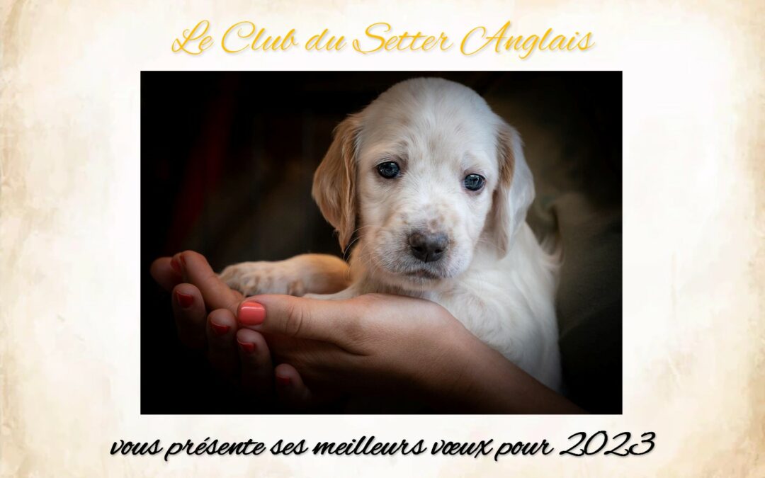 Voeux 2023