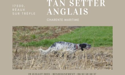 TAN Charente-Maritime samedi 29/07/2023