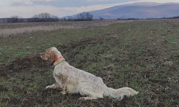 TAN CÔTES-D&rsquo;ARMOR SAMEDI 22/07/2023