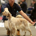 Résultats Expo Montclar de Quercy 14/05/2023