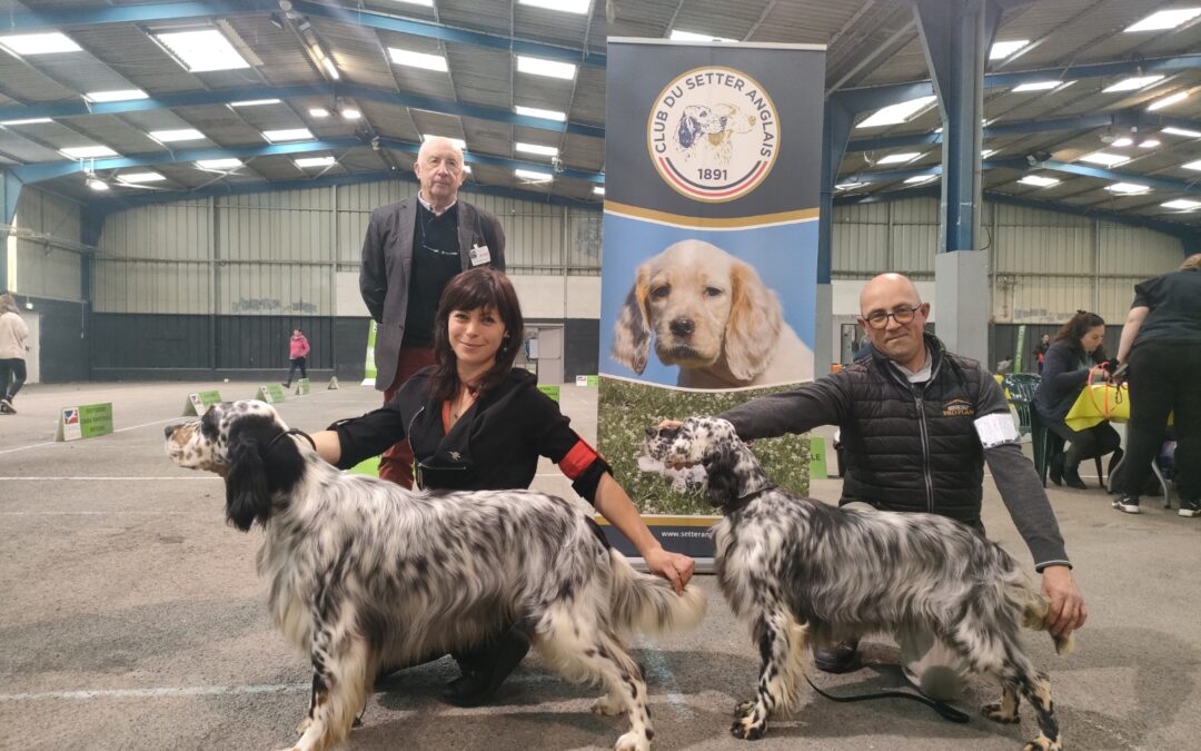 Résultats Expo Saint Brieuc 07/05/2023