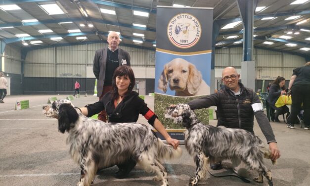 Résultats Expo Saint Brieuc 07/05/2023