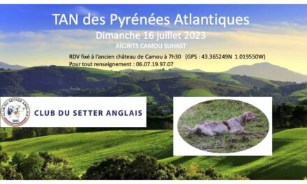 TAN Pyrénées-Atlantiques dimanche 16/07/2023