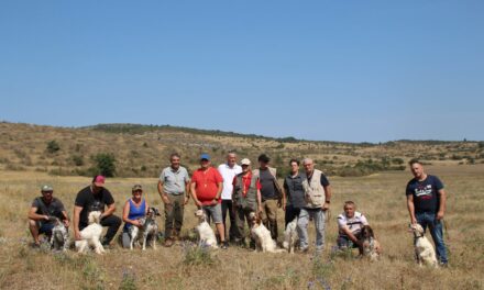 Résultats TAN domaine de Calmels (34) du 23/07/2023