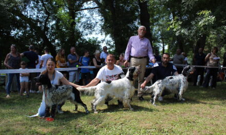 Résultats Expo Trets Pays d’Aix 18/06/2023