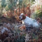 TAN et TAC d’Escource (40) le 14/10/2023